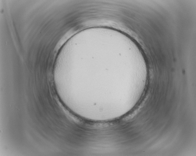 X0000074961521200609291900