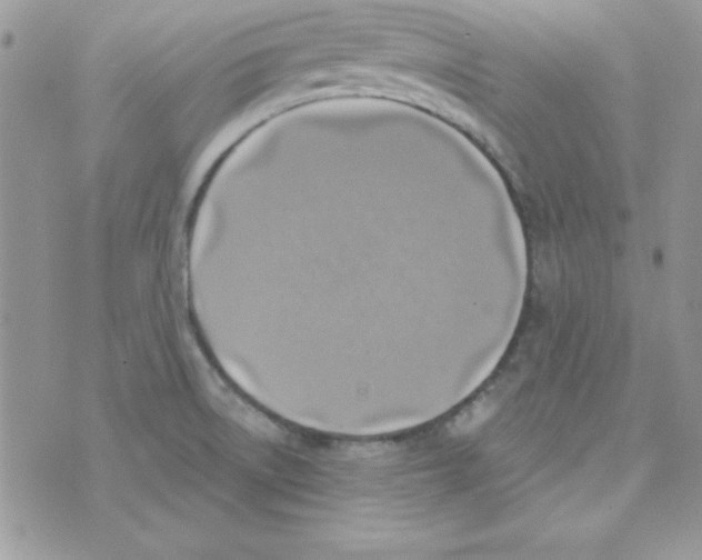 X0000074961522200609291900