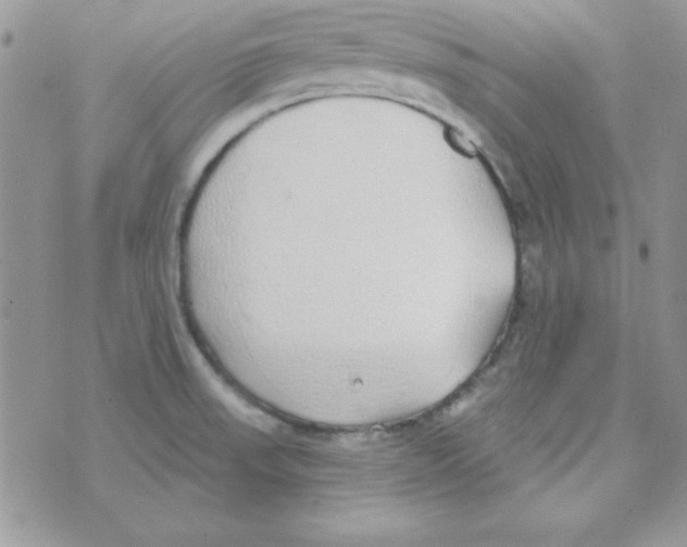 X0000074961523200609291900