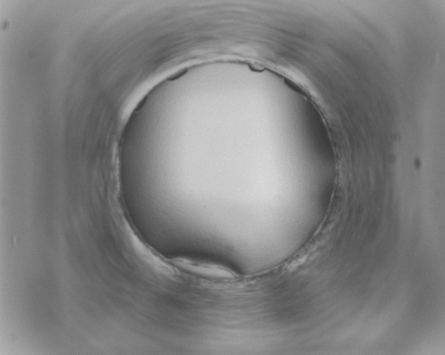 X0000074961524200609291900