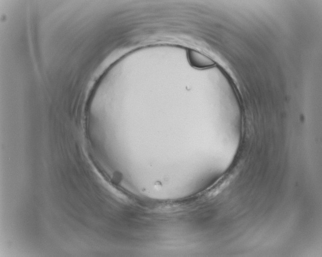 X0000074961525200609291900