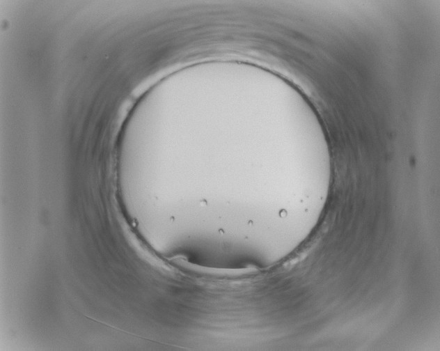 X0000074961526200609291900