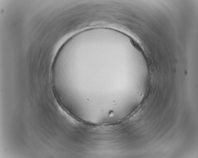 X0000074961527200609291900