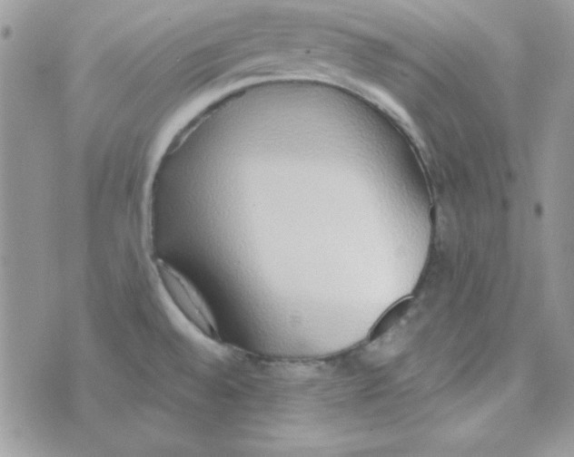 X0000074961528200609291900