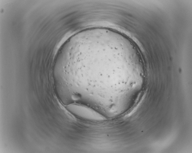 X0000074961529200609291900