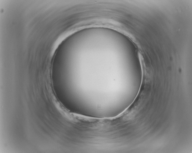 X0000074961530200609291900