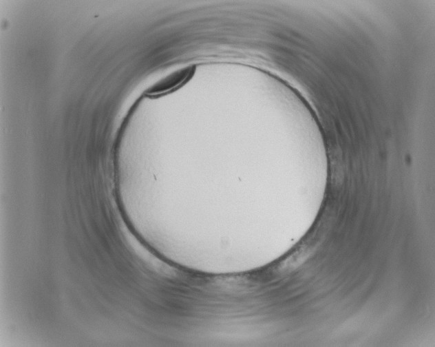 X0000074961531200609291900