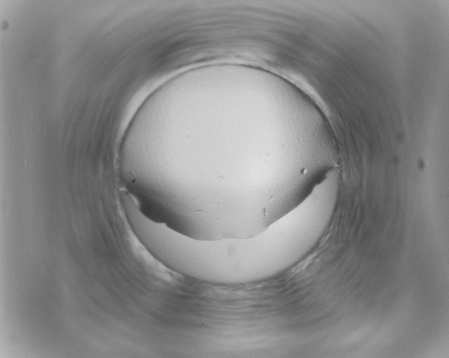 X0000074961532200609291900