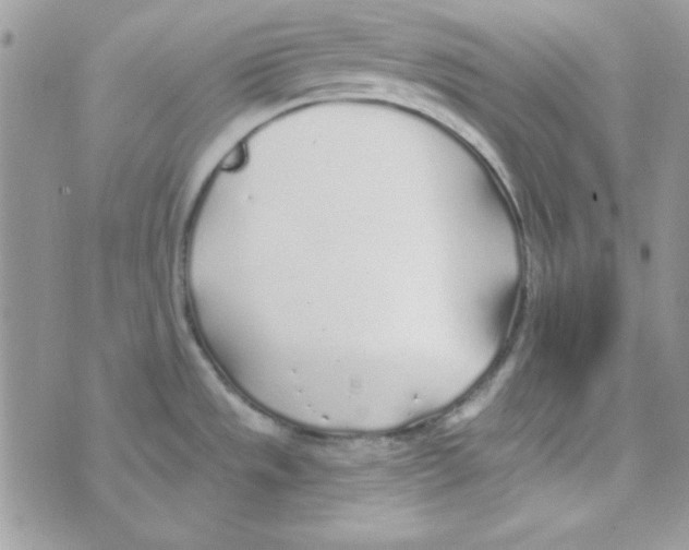 X0000074961533200609291900