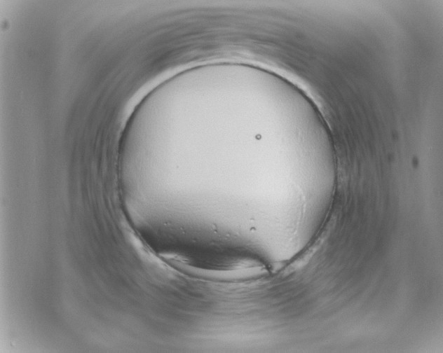 X0000074961534200609291900