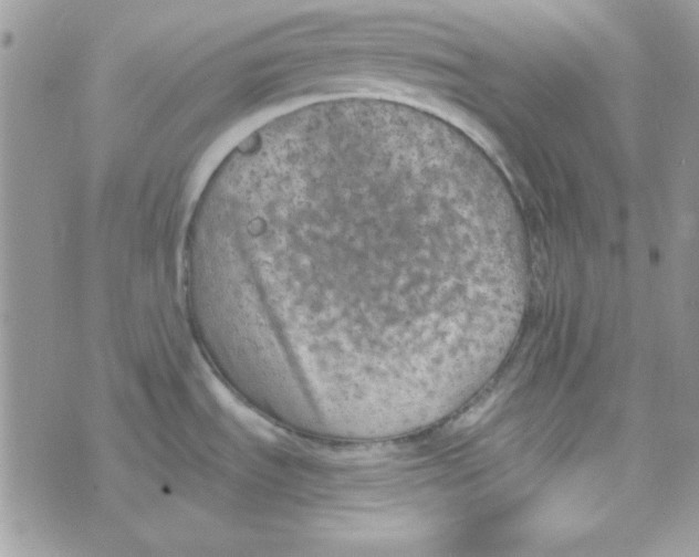 X0000074961535200609291900