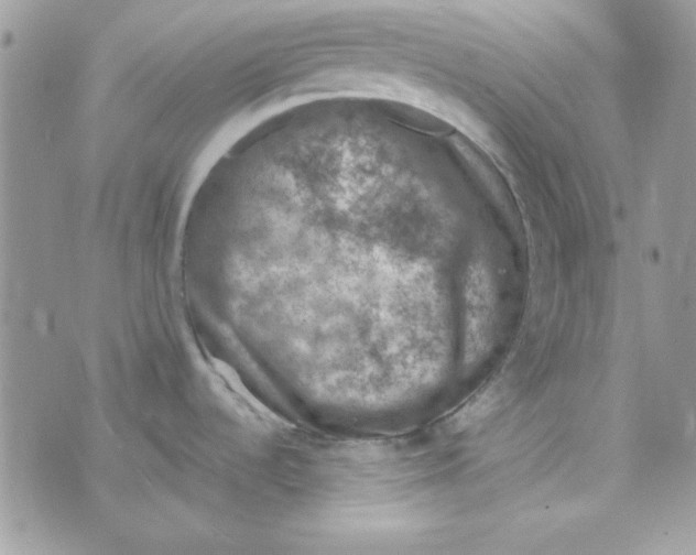 X0000074961536200609291900