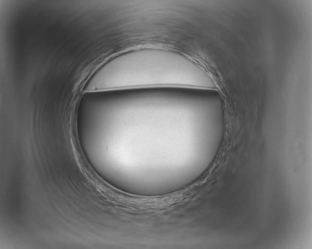 X0000074970001200609011028