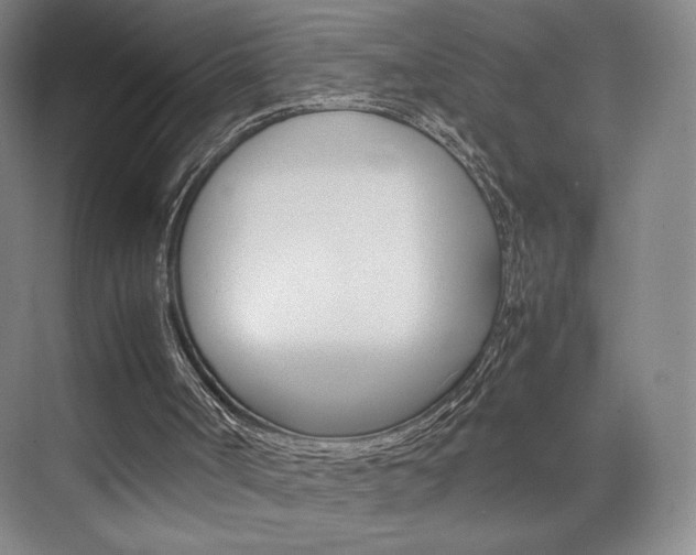 X0000074970002200609011028