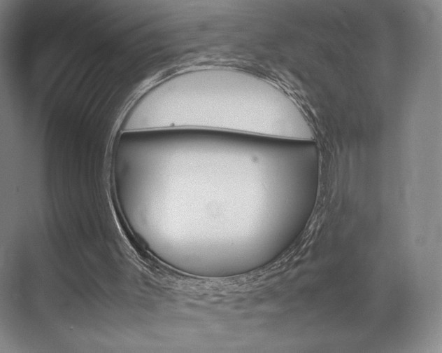 X0000074970003200609011028