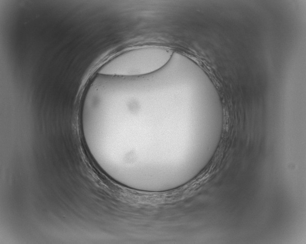 X0000074970004200609011028