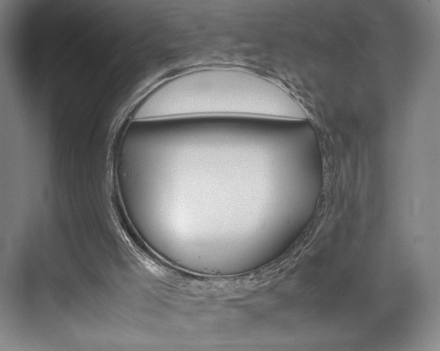 X0000074970005200609011028