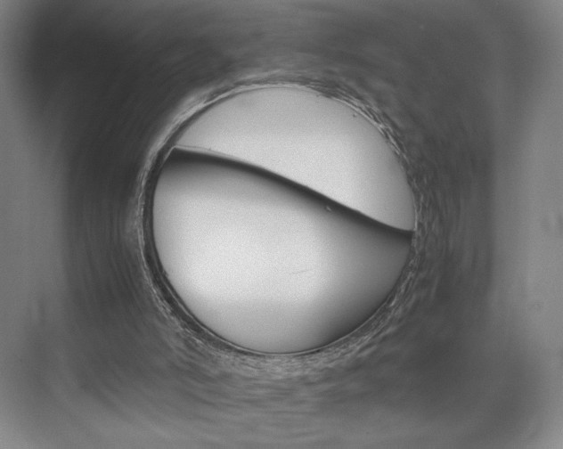 X0000074970006200609011028