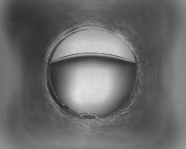 X0000074970007200609011028