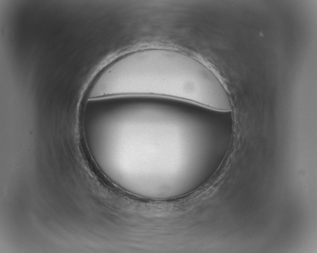 X0000074970008200609011028