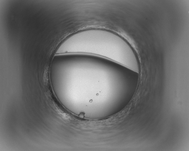 X0000074970009200609011028