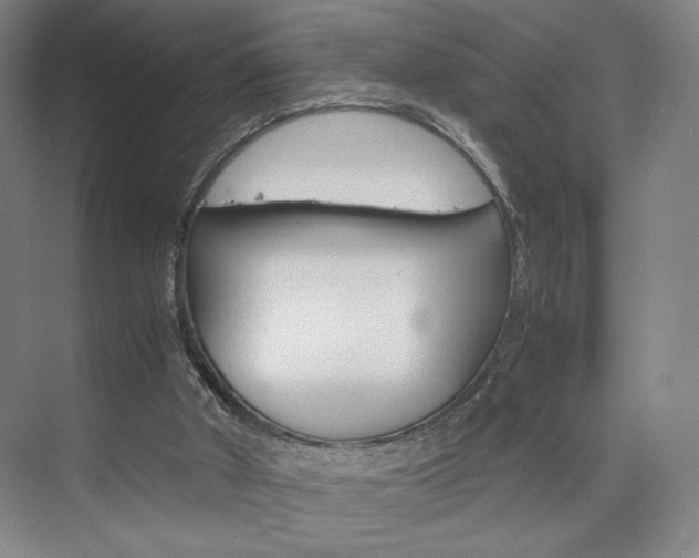 X0000074970010200609011028