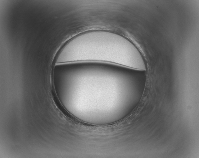 X0000074970011200609011028