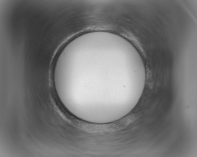 X0000074970012200609011028