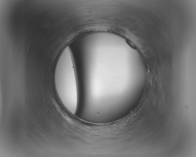 X0000074970013200609011028