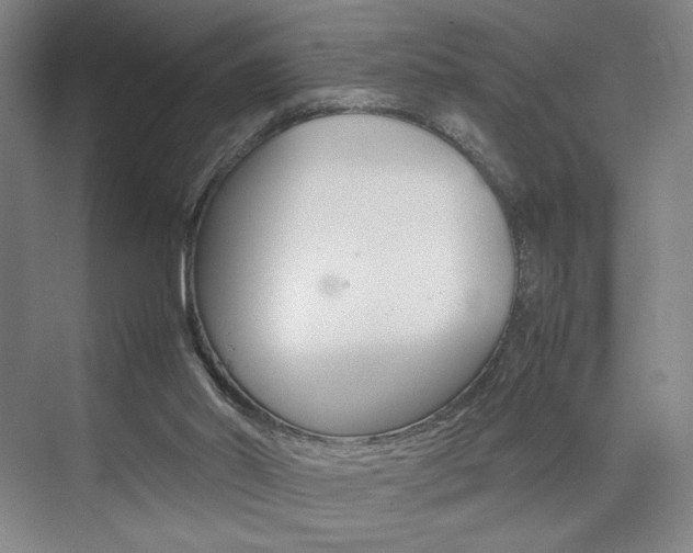 X0000074970014200609011028