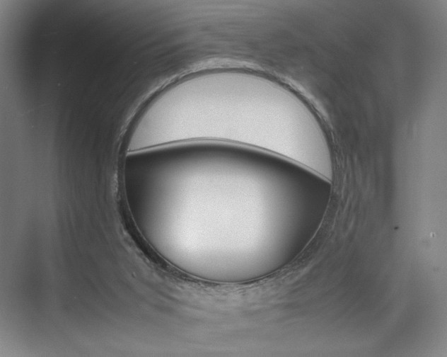 X0000074970015200609011028