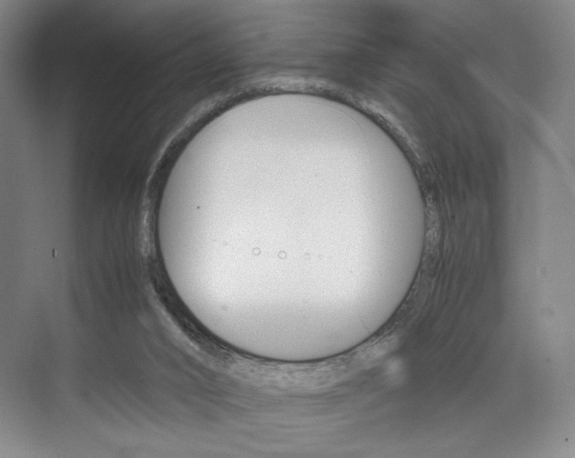 X0000074970016200609011028