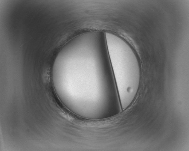 X0000074970017200609011028