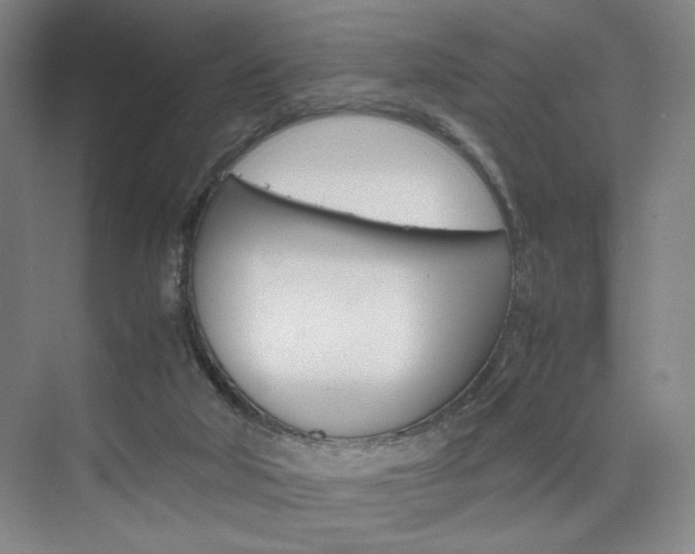 X0000074970018200609011028