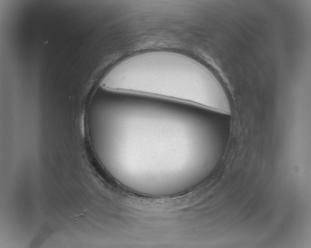 X0000074970019200609011028