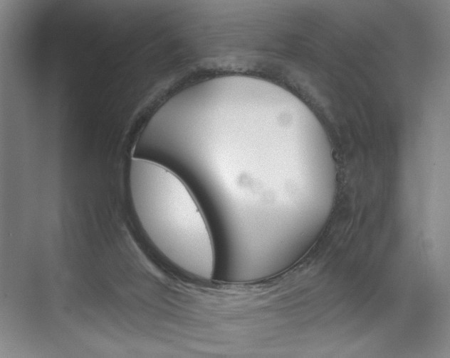 X0000074970020200609011028