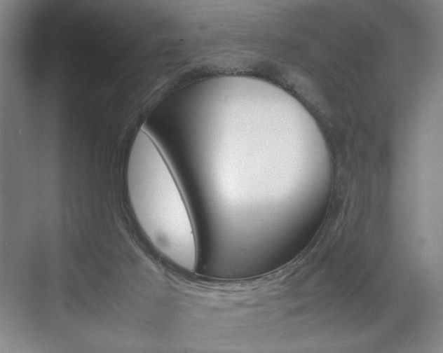 X0000074970021200609011028