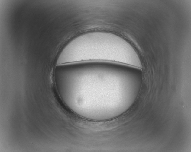 X0000074970023200609011028