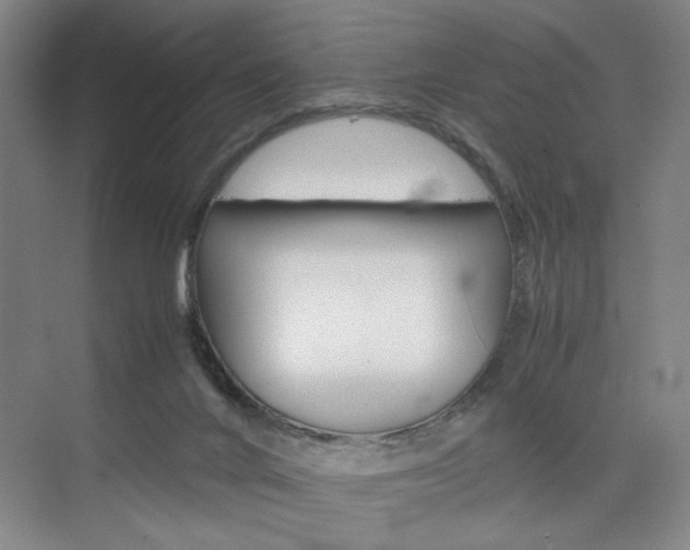 X0000074970024200609011028