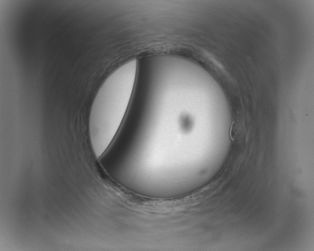 X0000074970025200609011028