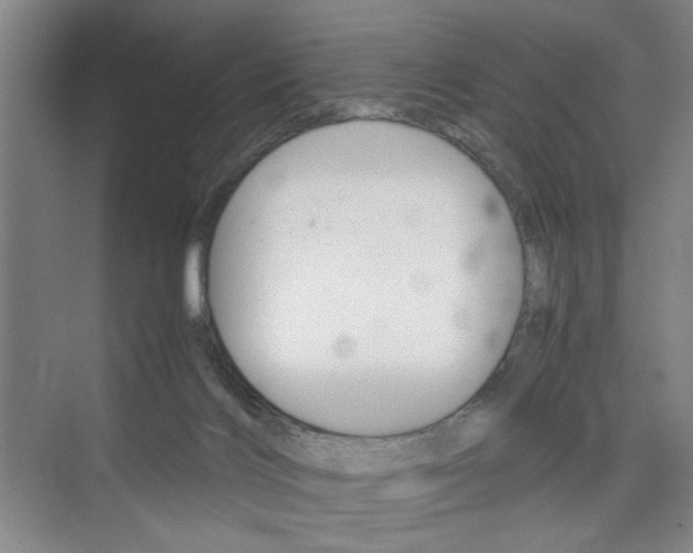 X0000074970028200609011028