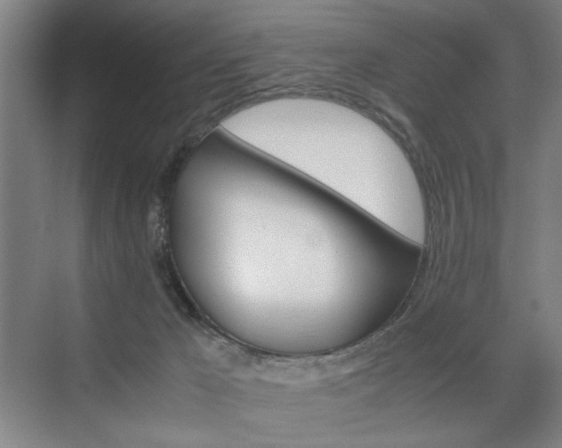 X0000074970029200609011028