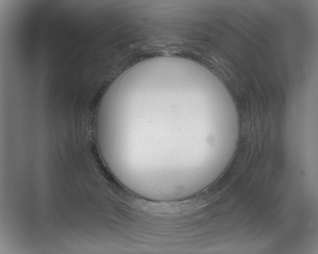 X0000074970030200609011028