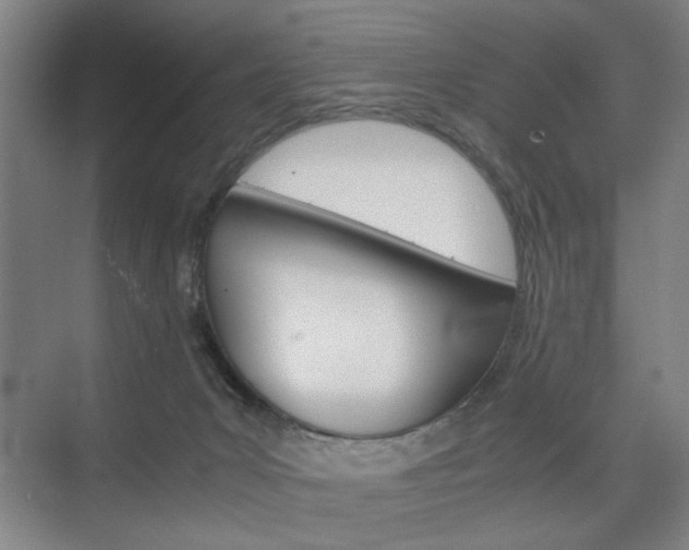 X0000074970031200609011028