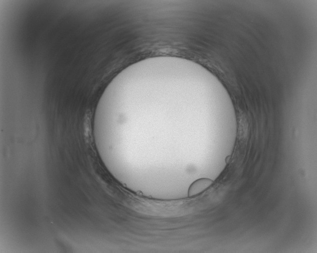 X0000074970032200609011028