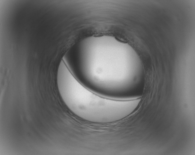 X0000074970033200609011028