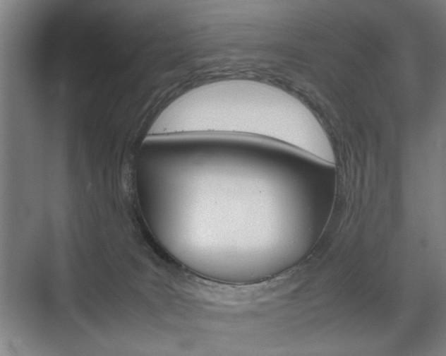 X0000074970035200609011028