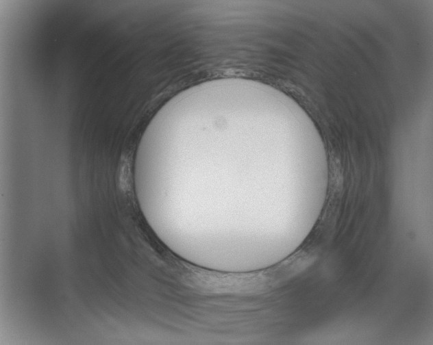 X0000074970036200609011028