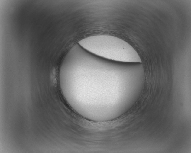 X0000074970038200609011028