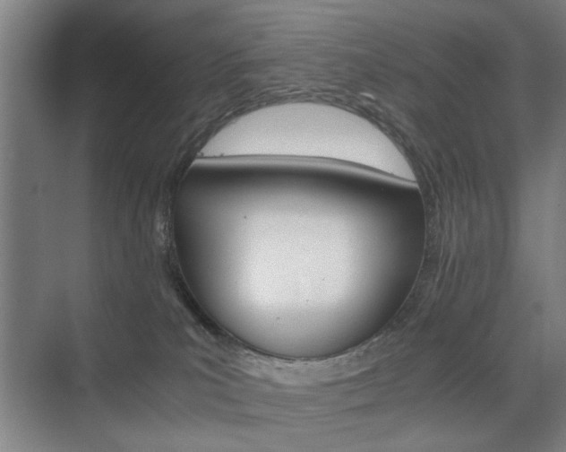 X0000074970039200609011028